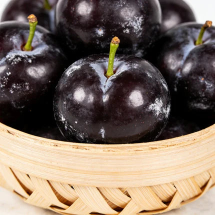 The Ultimate Backyard fruit :Non-GMO Heirloom Fruit Garden 7-in-One Variety Pack -TOP1