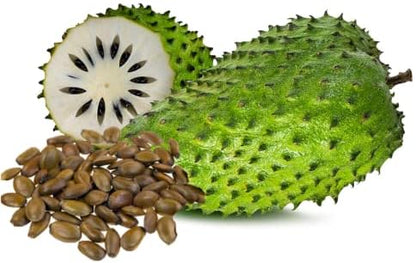 💥🌸 Organic Soursop (Graviola) Seeds – Non-GMO Heirloom Tropical Fruit seeds-EV