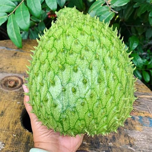 Non-GMO Premium Seeds（150pcs ）