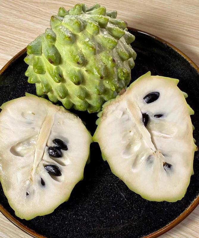 💥🌸 Organic Soursop (Graviola) Seeds – Non-GMO Heirloom Tropical Fruit seeds-EV