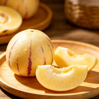 Pepino Melon