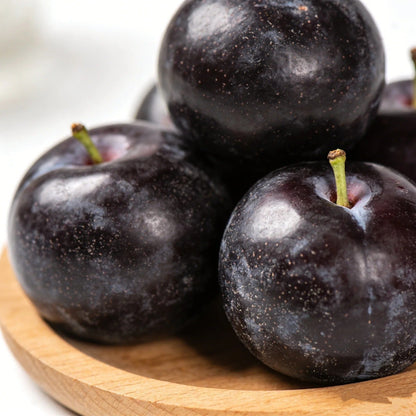 🌱Premium Purple Harvest: High-Yield Heirloom Plum Collection - Your Private Orchard Success Starts Here-BP